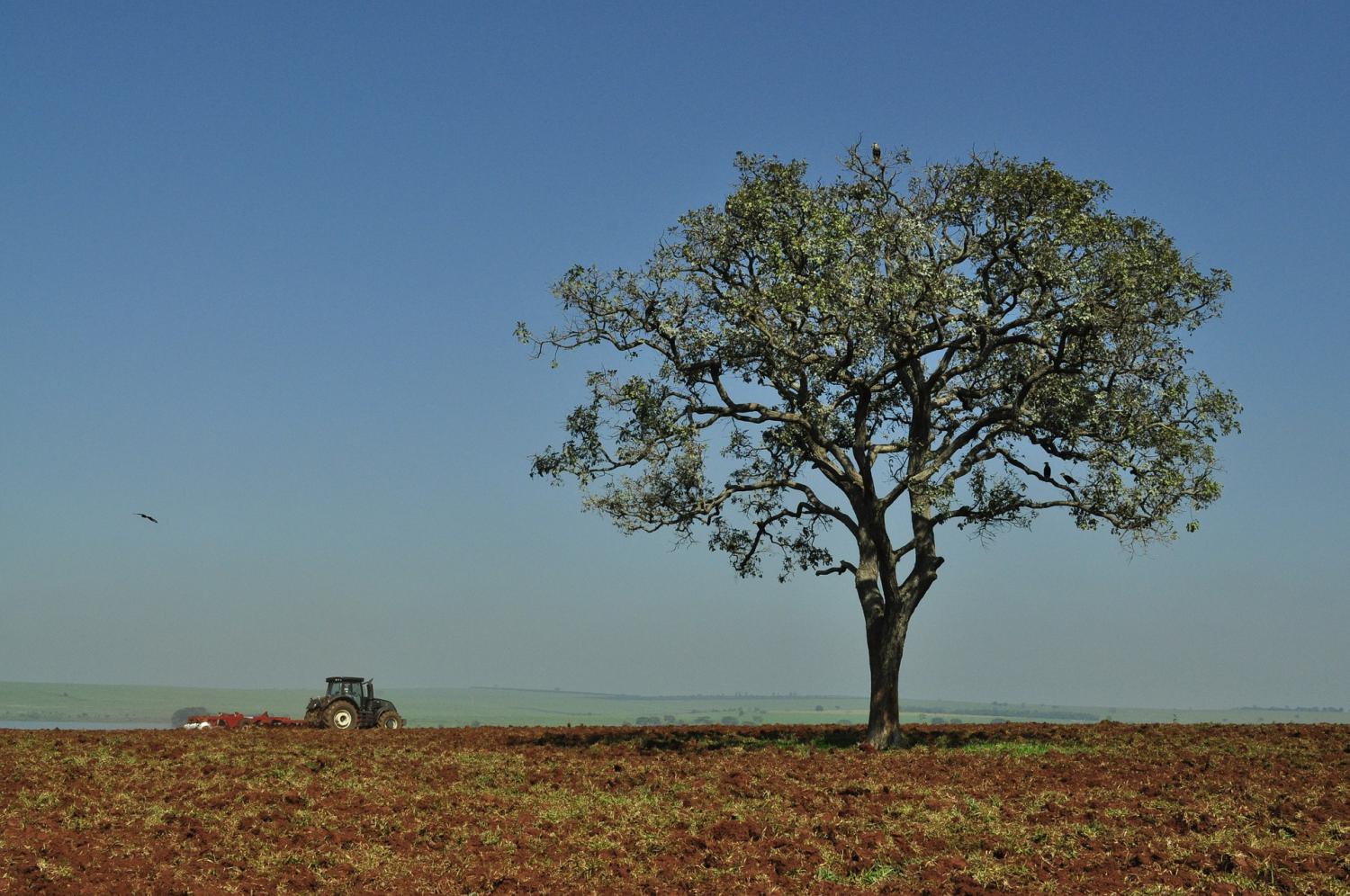 Embrapa apresenta novo plano diretor para próximos 10 anos